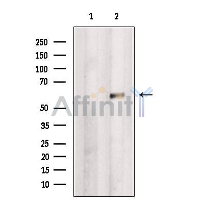 Валидация Affinity DF7757 - 19570