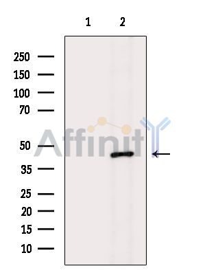 Валидация Affinity DF15075 - 11310