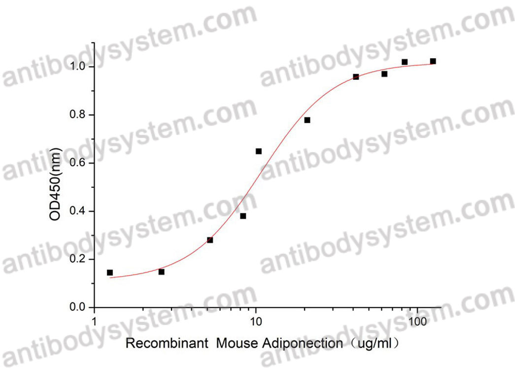 Валидация активности AntibodySystem AMH22001