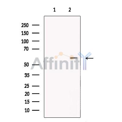 Валидация Affinity DF13280 - 8390