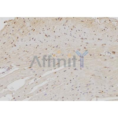 Валидация Affinity DF2218 - 12748