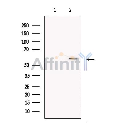 Валидация Affinity DF13545 - 8976