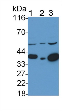 4973