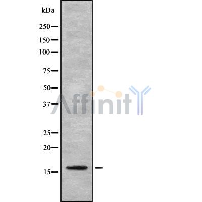Валидация Affinity DF8951 - 21120