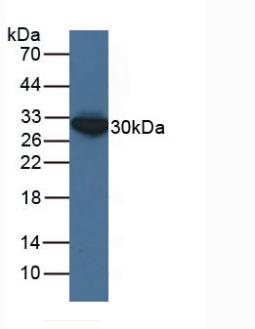 6128