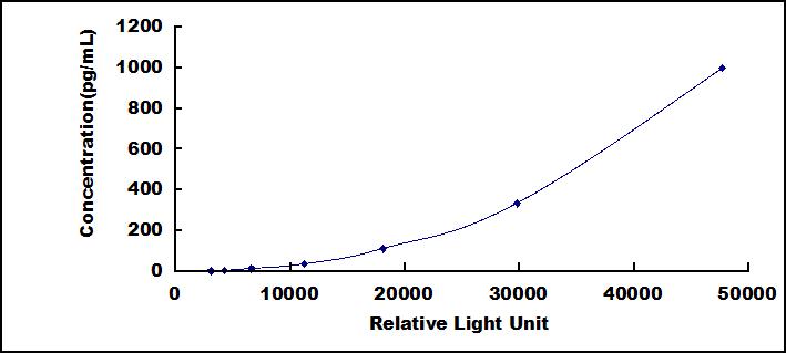 46166