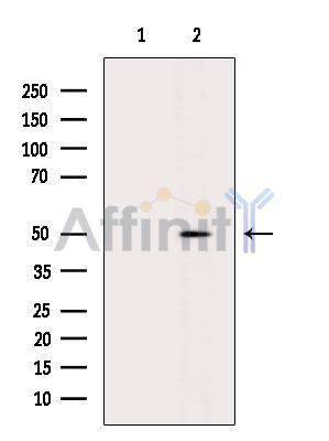 Валидация Affinity DF14637 - 10666