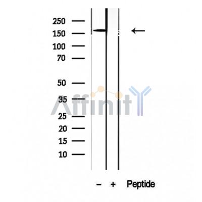 Валидация Affinity DF12371 - 6826