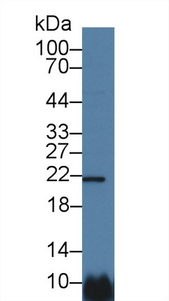 8843