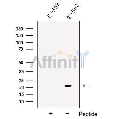 Валидация Affinity DF12839 - 7563