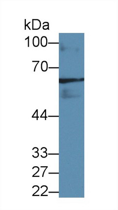 8570