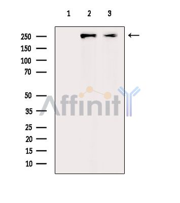 Валидация Affinity DF14757 - 10842