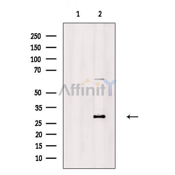 Валидация Affinity DF3885 - 15045