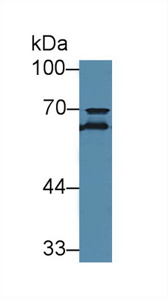 12578