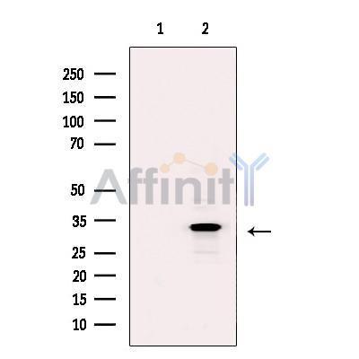 Валидация Affinity DF12368 - 6821