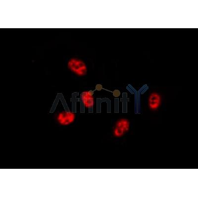 Валидация Affinity DF6167 - 17410
