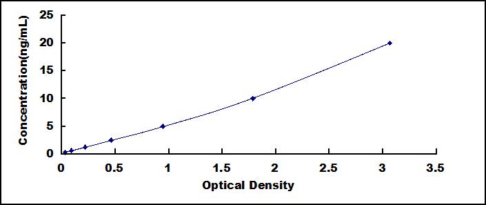 65065