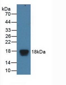 47605