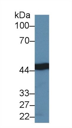 14073
