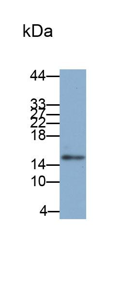 32821