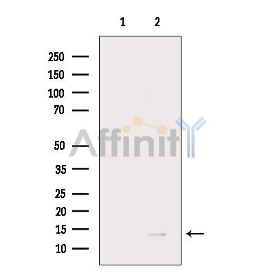 Валидация Affinity DF9131 - 21455