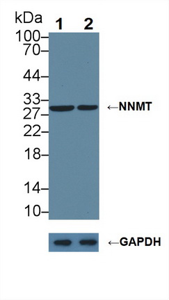 12233