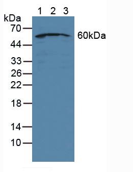 5715