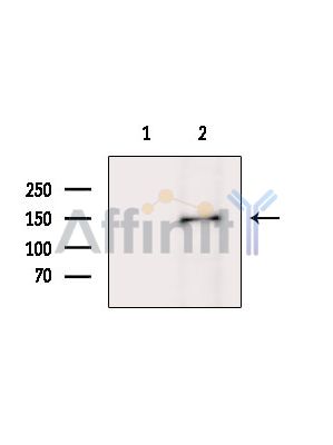 Валидация Affinity DF9652 - 22397