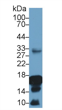 17584