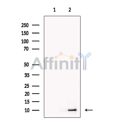 Валидация Affinity DF13387 - 8647