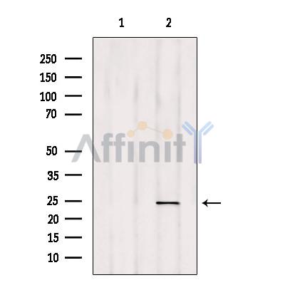 Валидация Affinity DF8710 - 20704