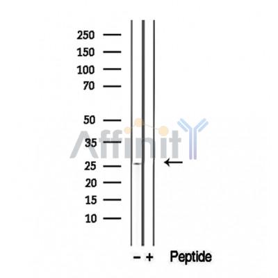 Валидация Affinity DF12409 - 6902