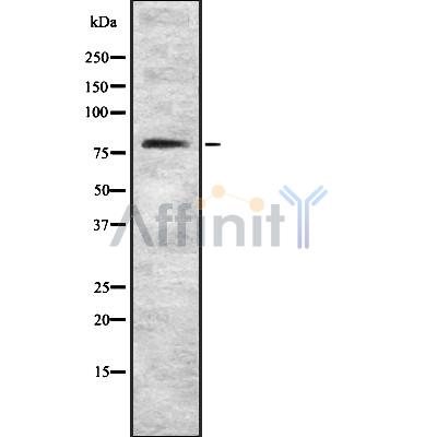 Валидация Affinity DF8827 - 20890