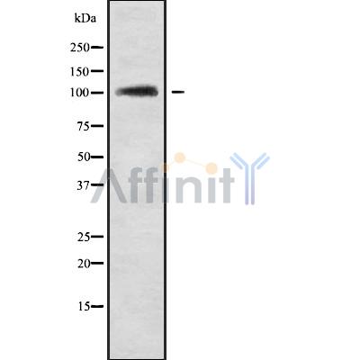 Валидация Affinity DF9482 - 22086