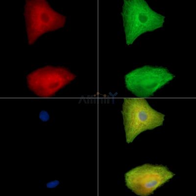 Валидация Affinity DF15801 - 12288