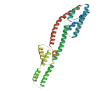 Transcription Elongation Factor A N-Terminal And Central Domain Containing Protein (TCEANC)