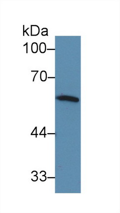9863