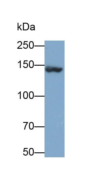 31680