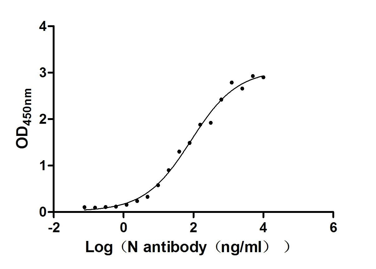Функциональный ИФА: связывание рекомбинантного антитела к N-белку