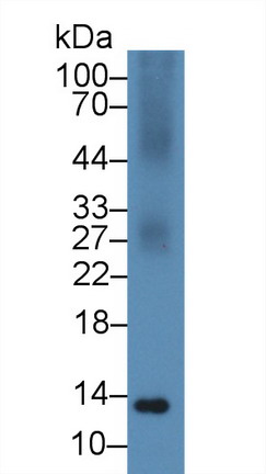 10095