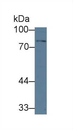 8903