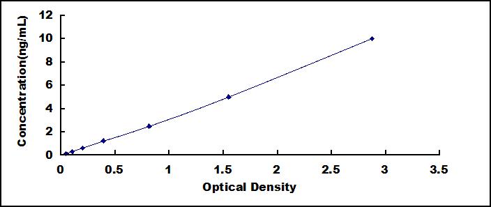 61504