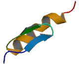 Zinc Finger Protein 667 (ZNF667)