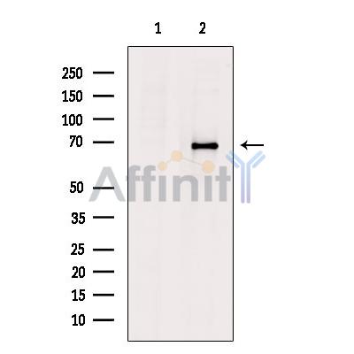 Валидация Affinity DF4046 - 15305