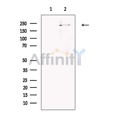 Валидация Affinity DF13742 - 9390