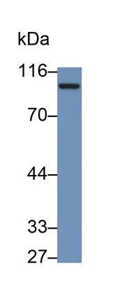 48766