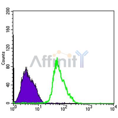 Валидация Affinity BF9215 - 5434