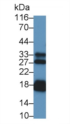 39413