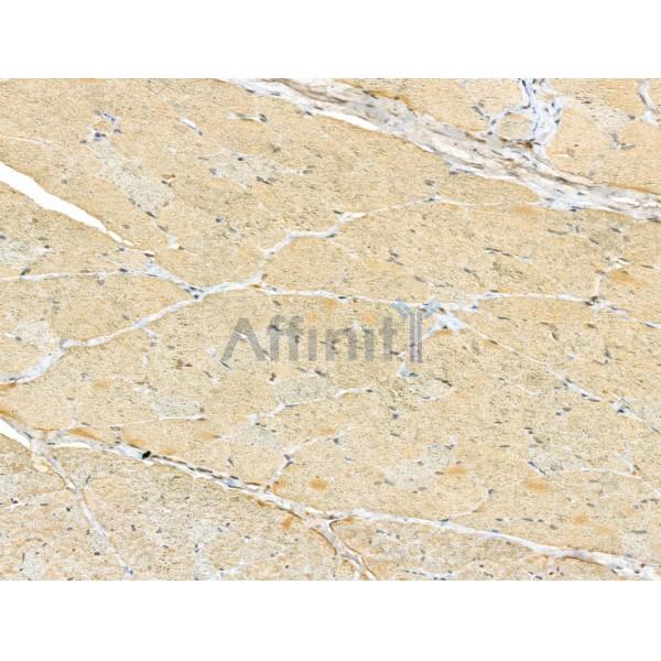 Валидация Affinity DF13047 - 7890