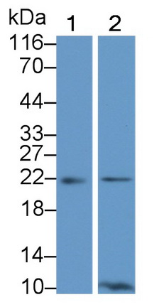 13537